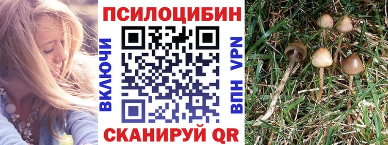 Псилоцибиновые грибы мухоморы Елизово