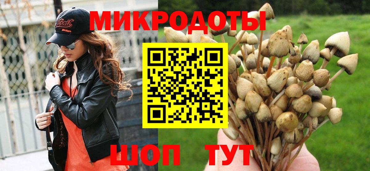 Елизово  где найти   Вход с VPN  Псилоцибиновые грибы Magic Shrooms 