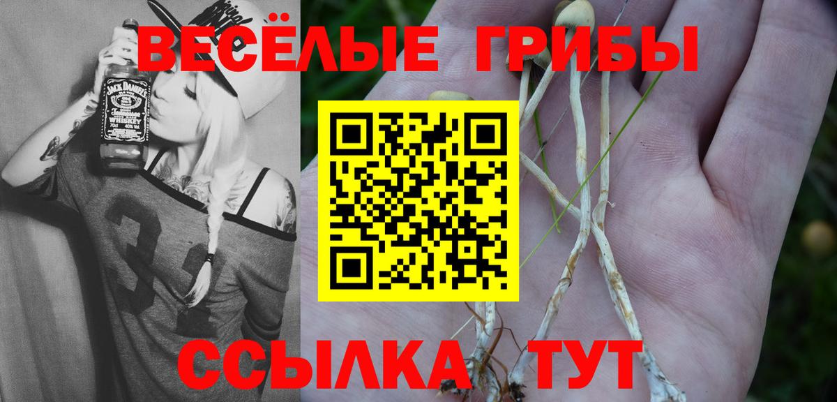 Галлюциногенные грибы прущие грибы Елизово